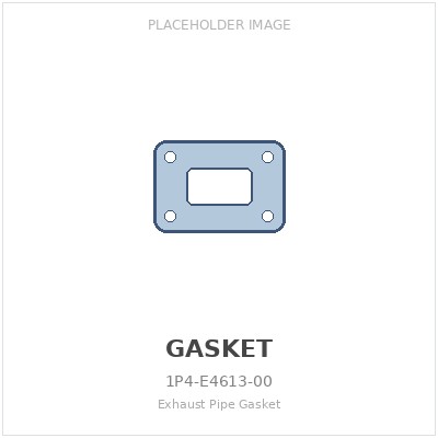 Exhaust Pipe Gasket
