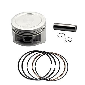 Evinrude Motor Cover