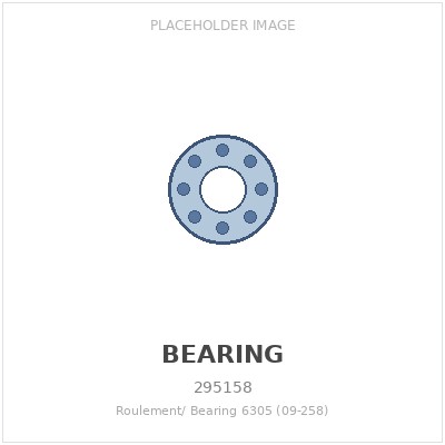 Roulement/ Bearing 6305 (09-258)