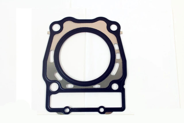 Intake Gasket
