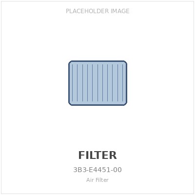 Air Filter