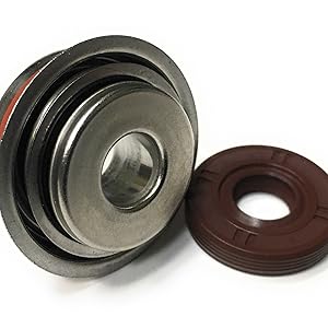 Oil Seal