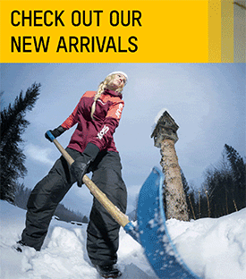 Flanged Torx Screw M6 x 25