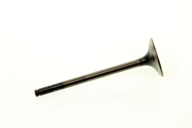 Exhaust Valve