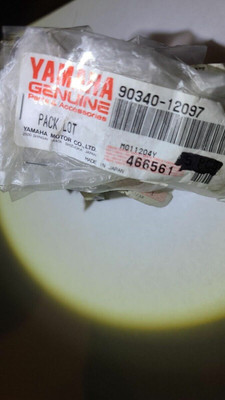 Plug, Straight Screw