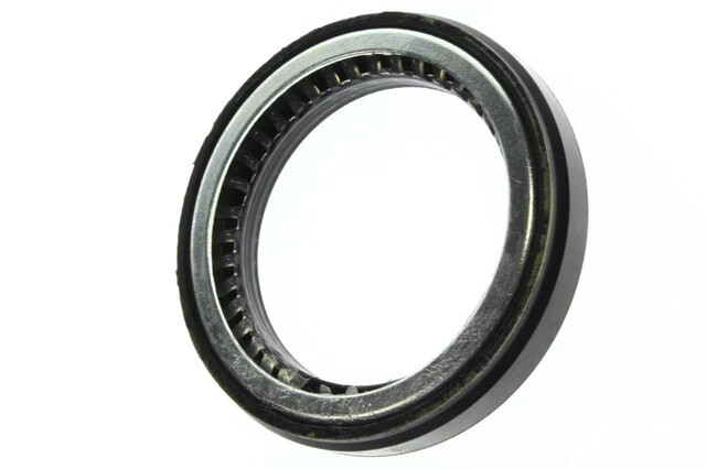 Oil Seal