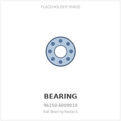 Ball Bearing Radial 6